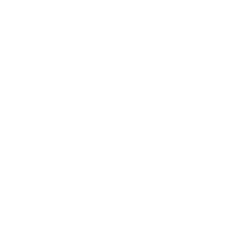 Time Lapse logo